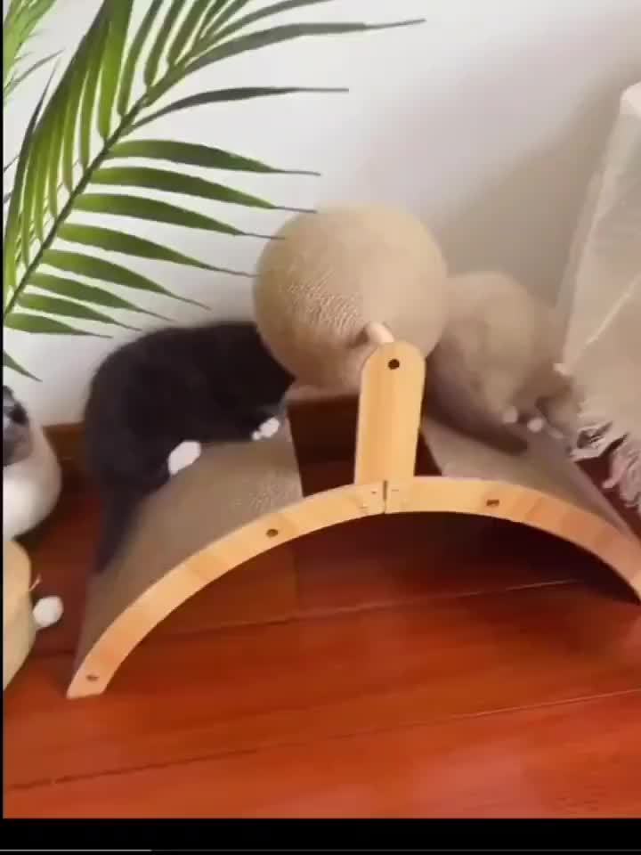 Ferris Wheel 2-in-1 Cat Scratcher with Ball Toy