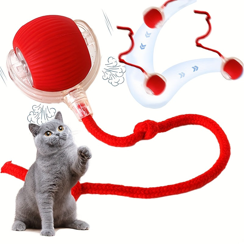 Interactive Rolling Cat Toy Ball with Tail Rope – USB Rechargeable