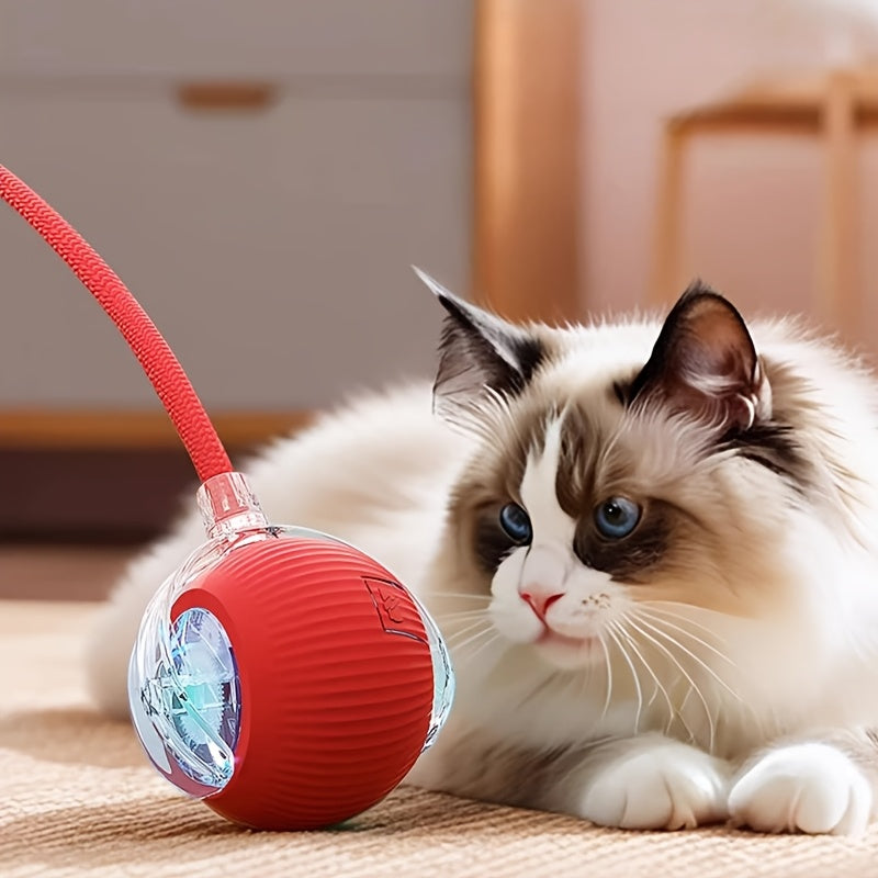 Interactive Rolling Cat Toy Ball with Tail Rope – USB Rechargeable
