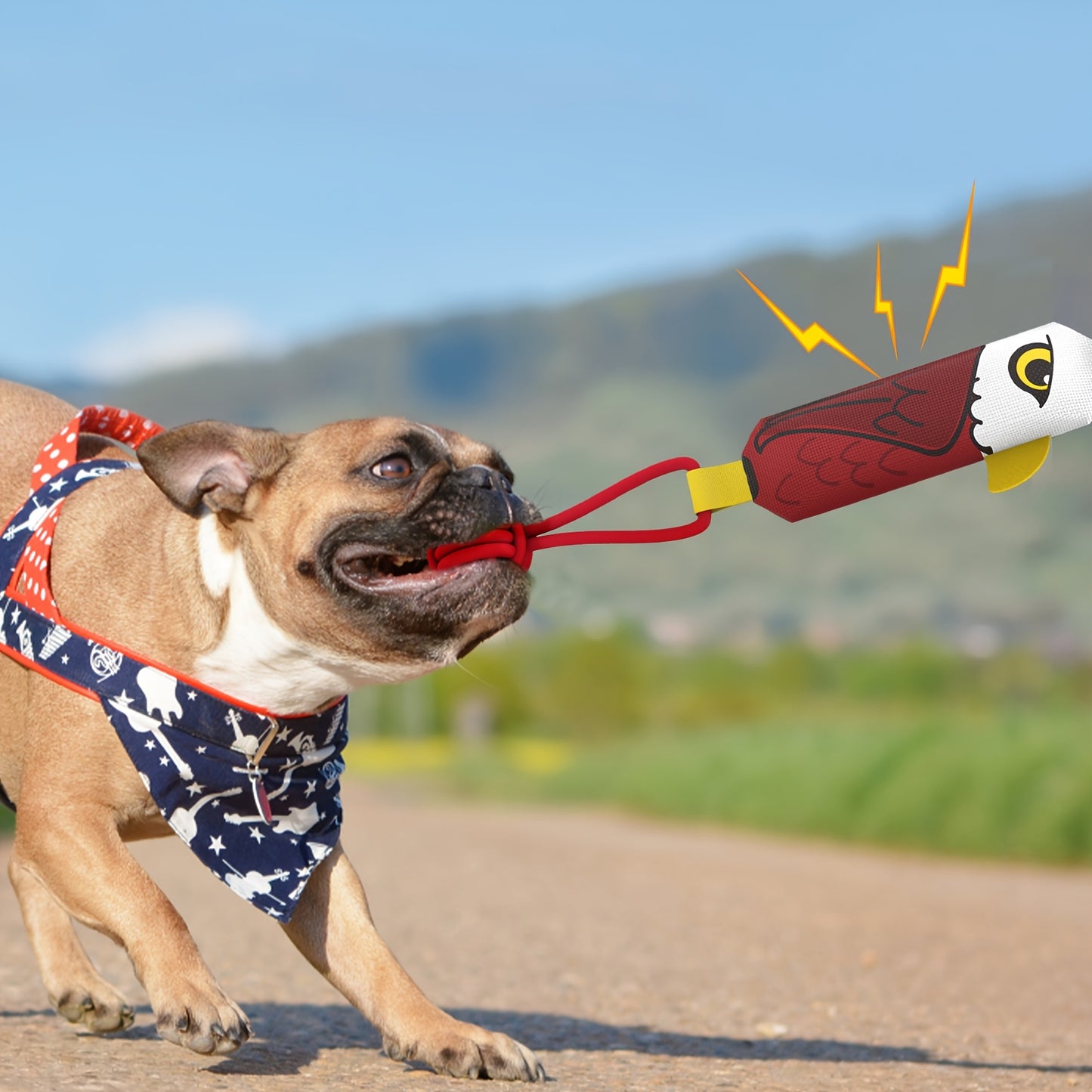 Squeaky Eagle Tug Toy – Durable Rope Pull Toy for Medium & Large Dogs