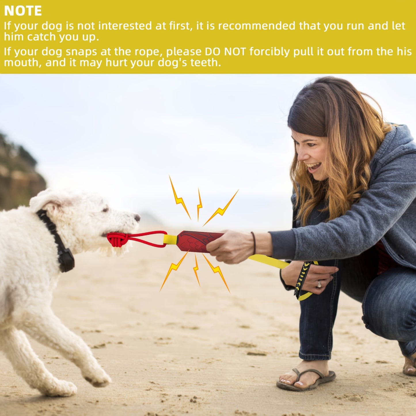 Squeaky Eagle Tug Toy – Durable Rope Pull Toy for Medium & Large Dogs