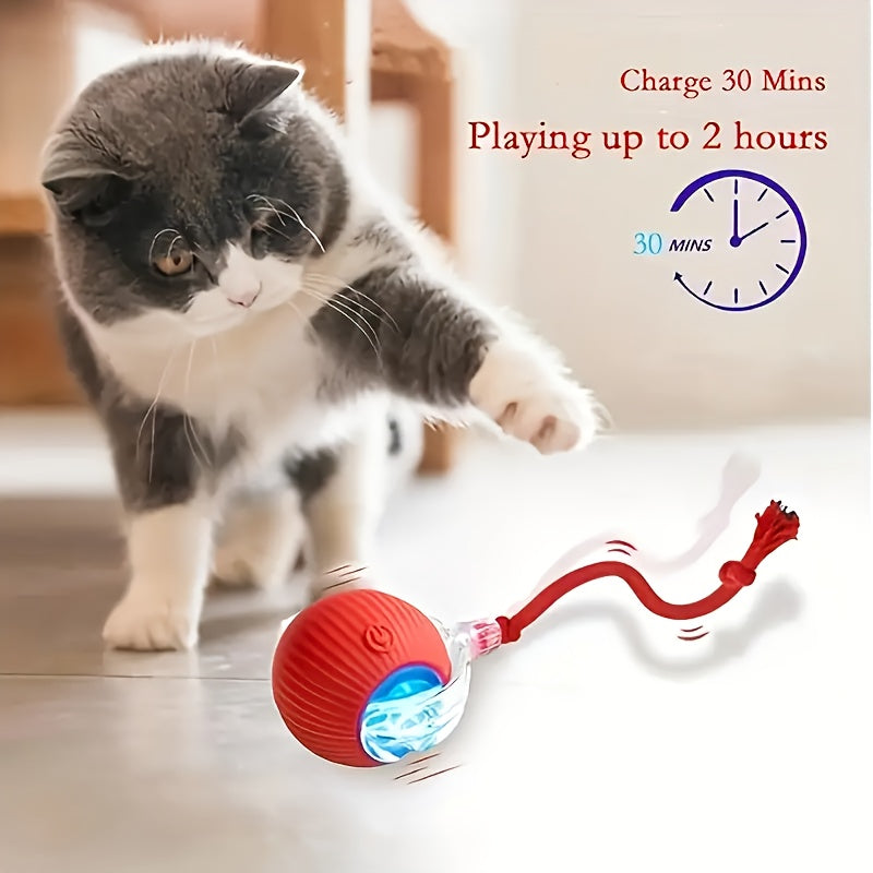 Smart Interactive Electric Cat Toy – Red, USB Rechargeable, Indoor & Outdoor